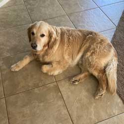 23-017 Akron now Teddy