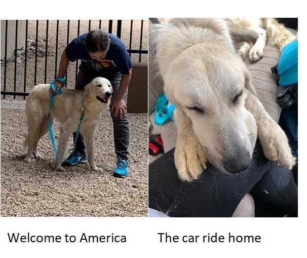 22 047 melody collage1