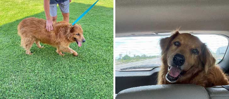 22 051 hoppy collage