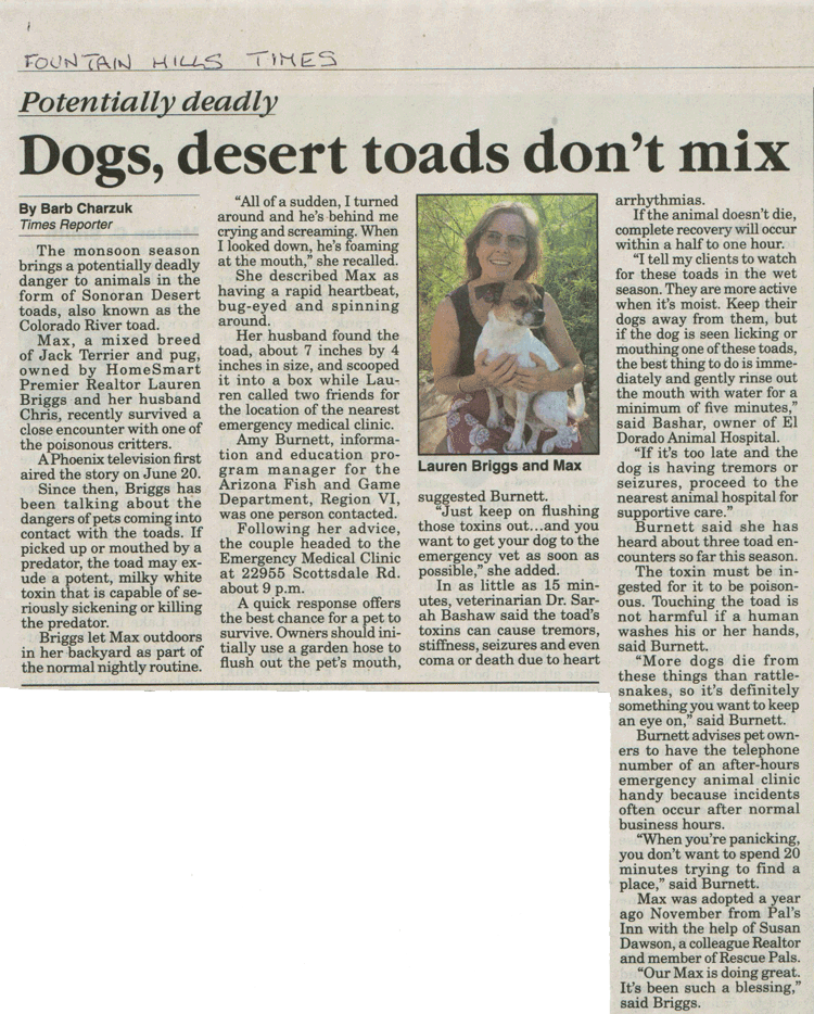 Dogs Desert Toads dont mix