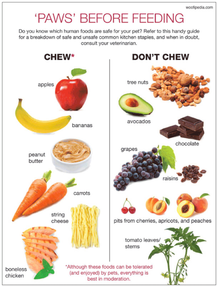 Food Chart