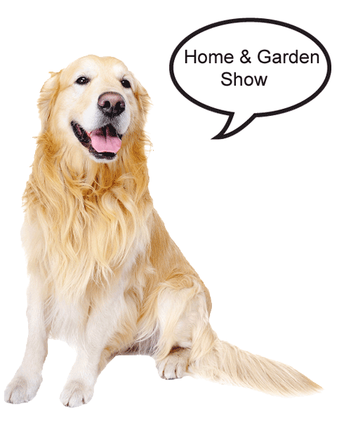 Old Golden 6a bubble home