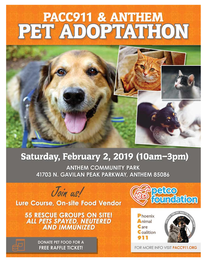 PACC911 adoptathon AnthemFeb 2 2019