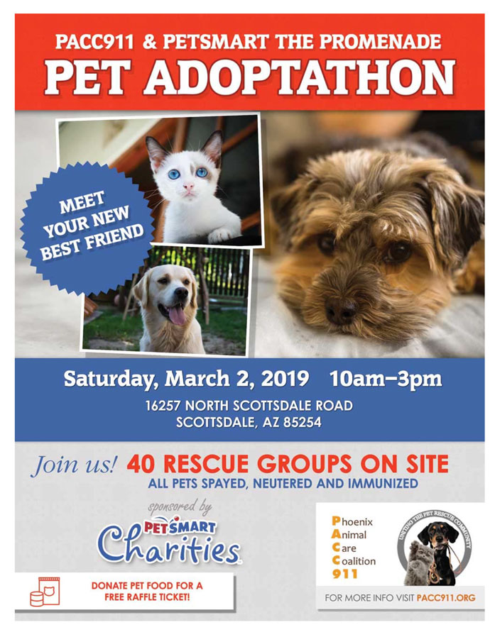 PACC911 adoptathon Petsmart Promenade march 2 2019