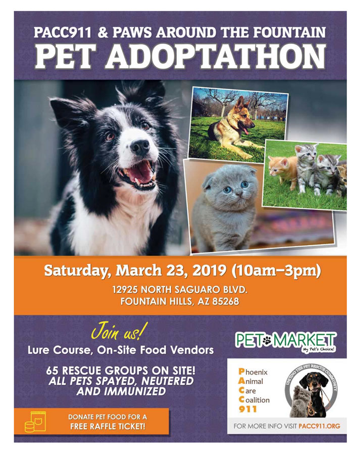 PACC911Paws Around Fountain march 23 2019