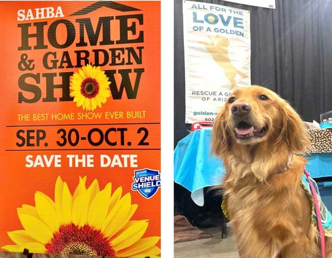SAHBA dates and photo of golden retriever