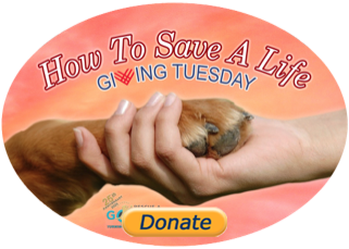 donate button with hand holding paw