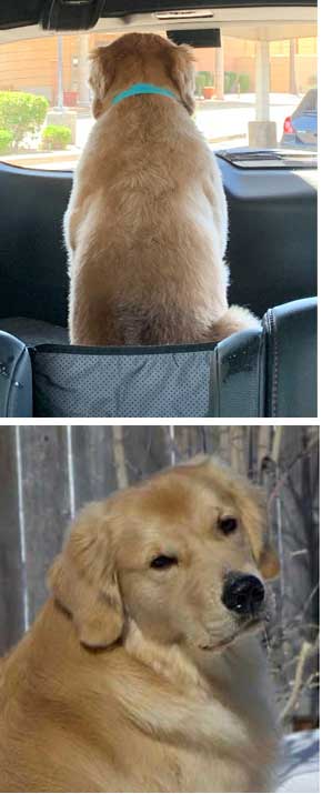 hendrix before and after