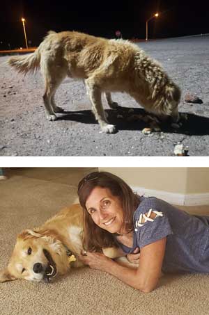 speedy & martha before and after