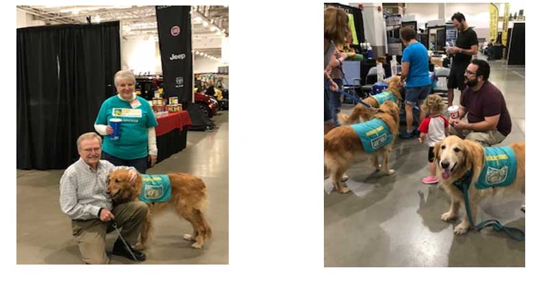 home show goldens