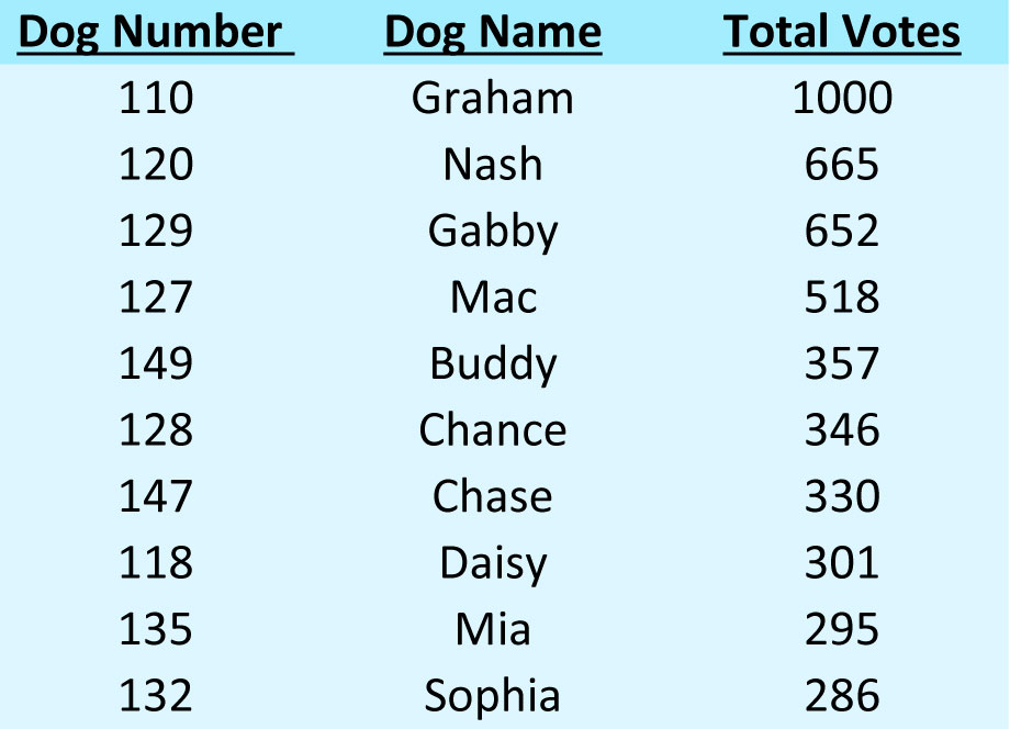 Cutest Golden Contest 2019 Winners