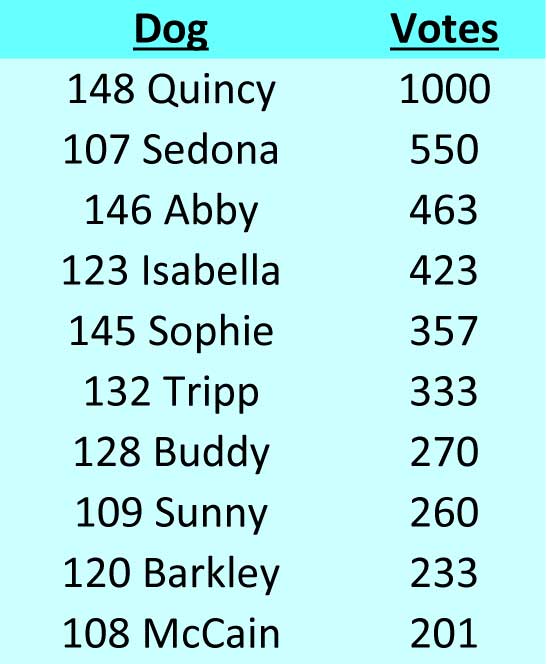 Winners 2020 Cutest Golden Contest