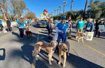 golden retrievers in fiesta bowl parade