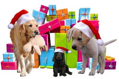 Christmas dogs with gifts