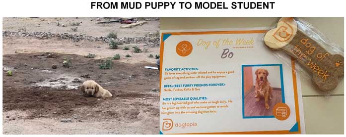 bo fore and bo after