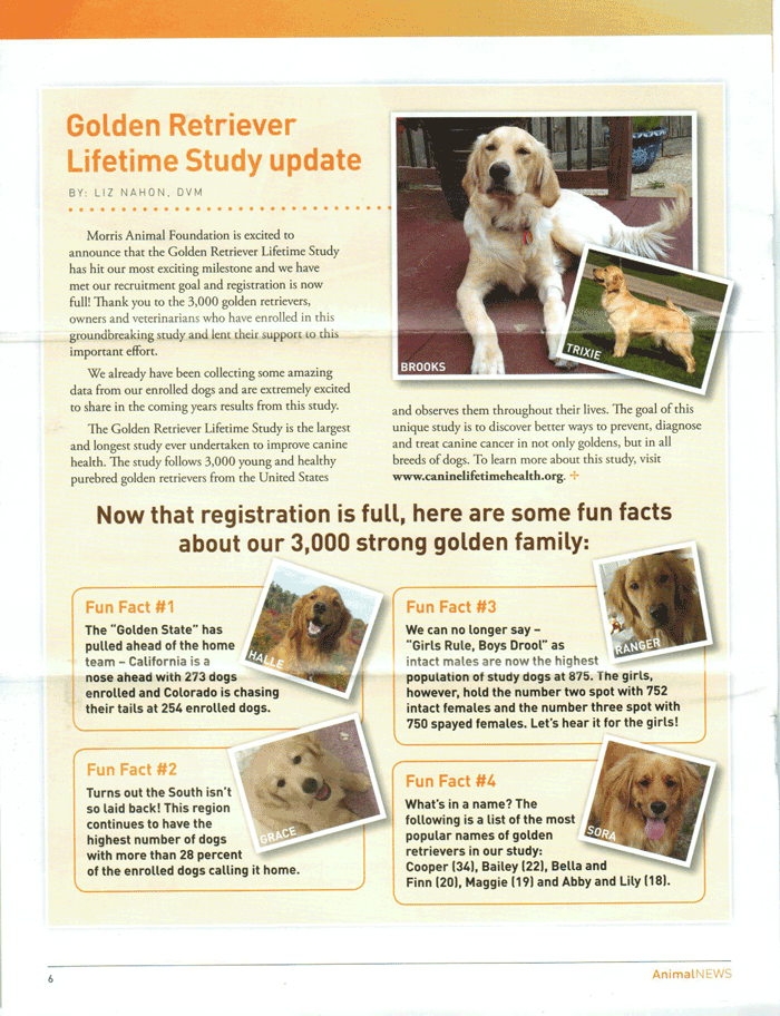 Golden Retriever Lifetime Study update