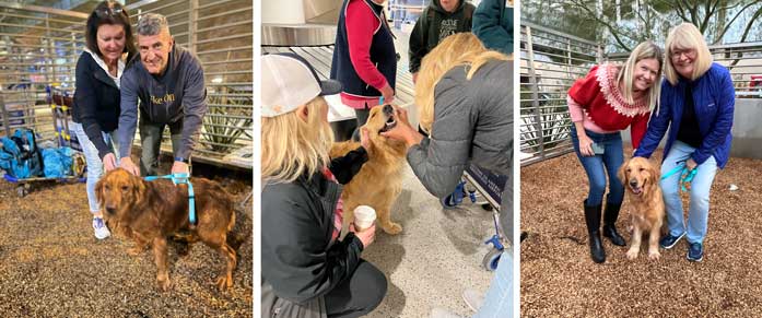 Happy arrivals from china