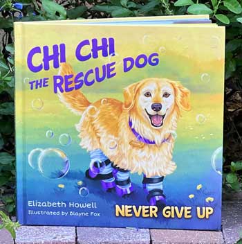 Chi Chi the Rescue Dog 