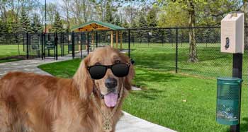 heard around the dog park