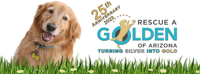 Rescue a Golden of Arizona