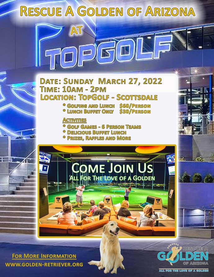 topgolf flyer