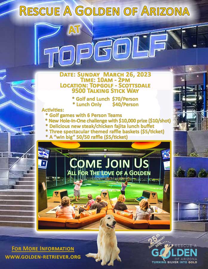topgolf flyer
