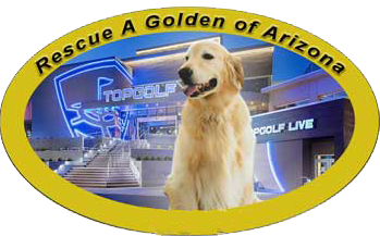 Topgolf and golden retriever