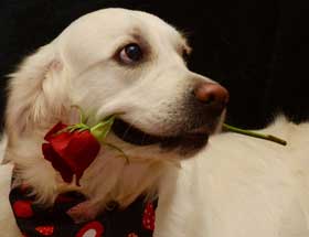 02 February Sophie 280