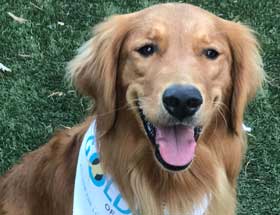 10 October Buddy 280