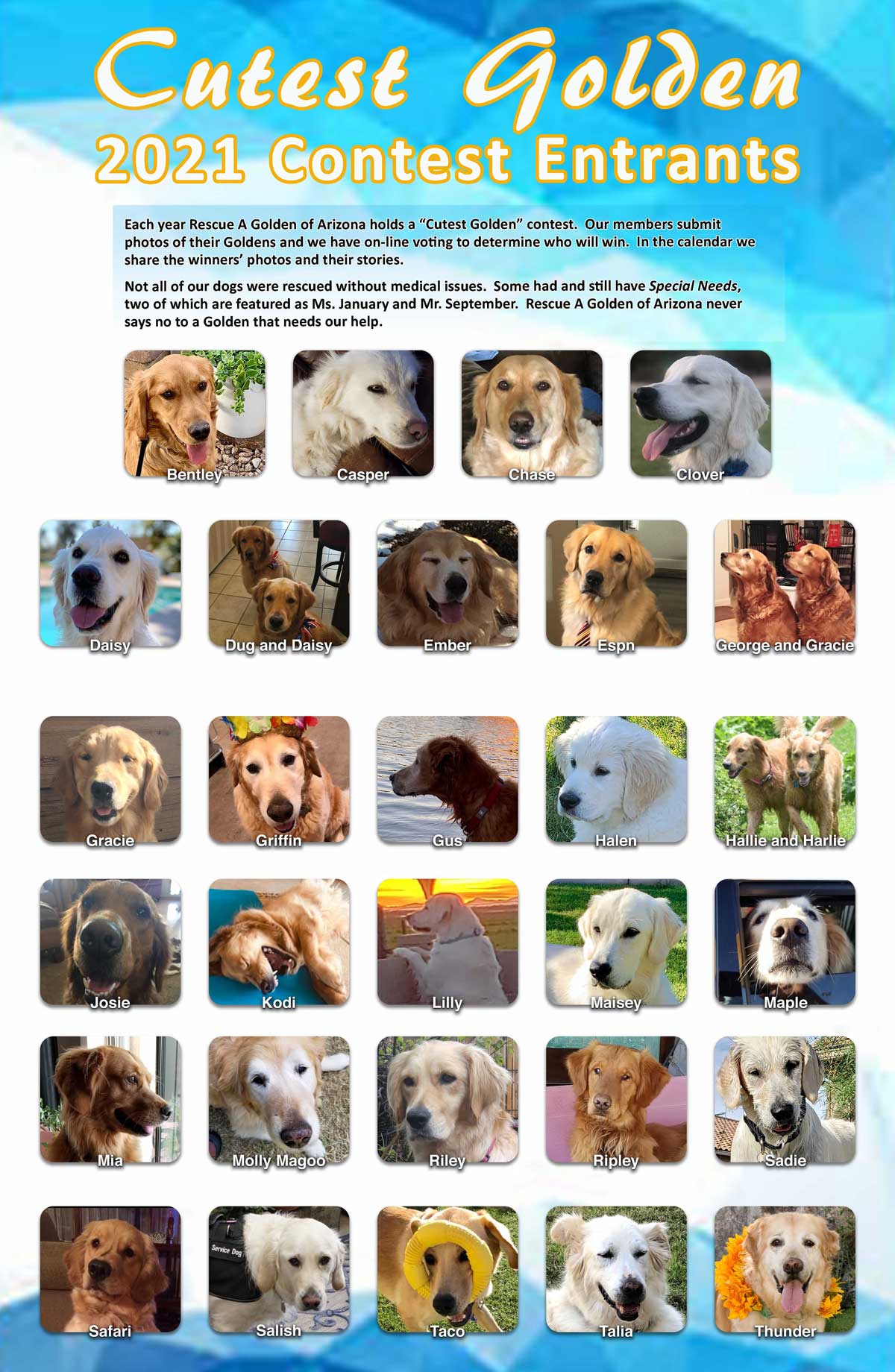 2021 Cutest Goldens for 2022 calendar