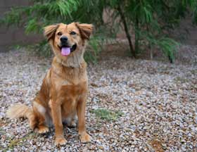 January Penny 1502 Big resized