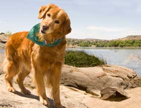 Lucy 5820 back cover