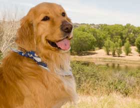 November Penny5864 Main