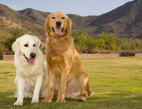 TuckerTripp1 Large Final