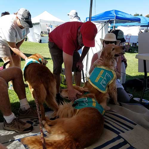 20171001 114622 resized 1