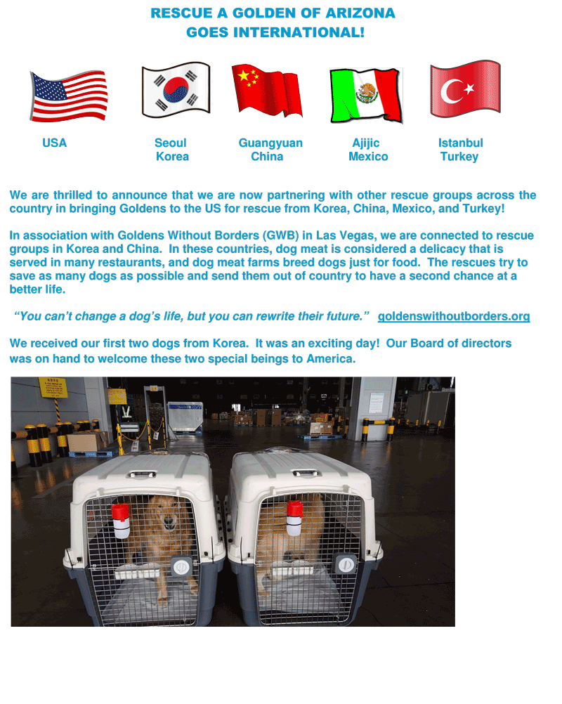 International Website Notice 2 1