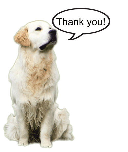 MS sit no grass reversed thank you