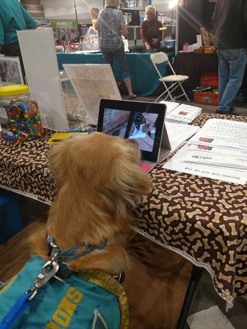 IMG 20180106 115205861 resized