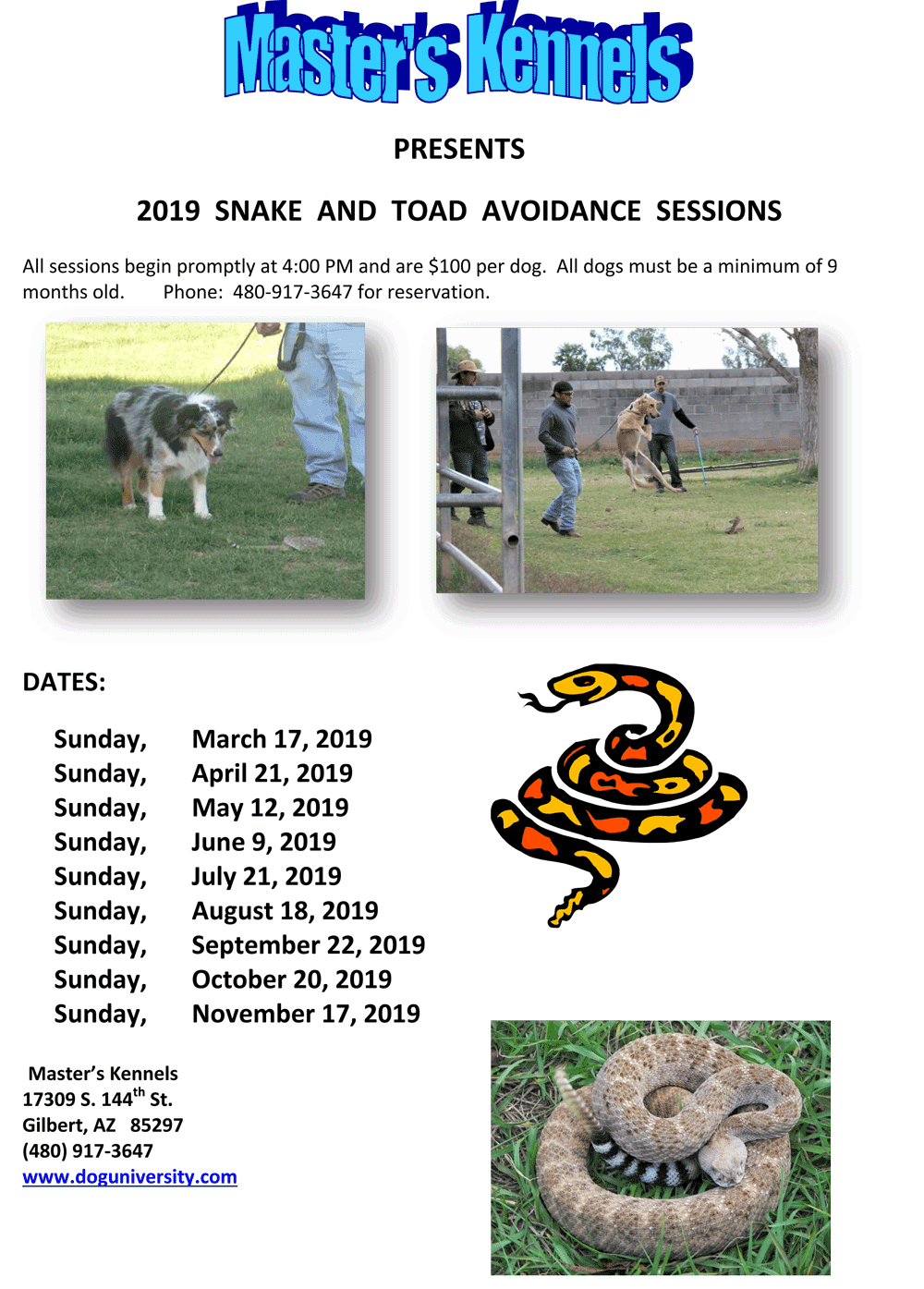 Snake Toad Poster 1 2019