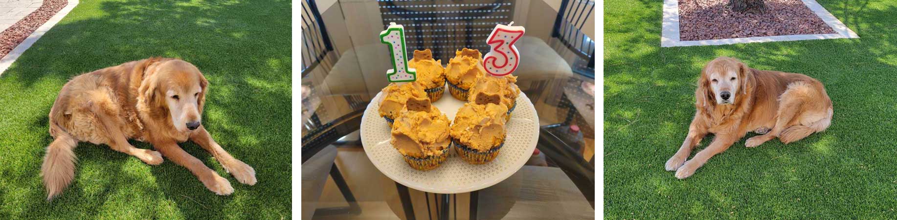 George and Gracie 13th birthday cake