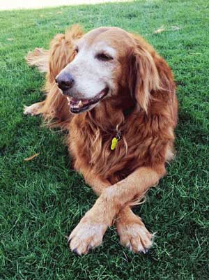 Macee Barteck IMG 0009