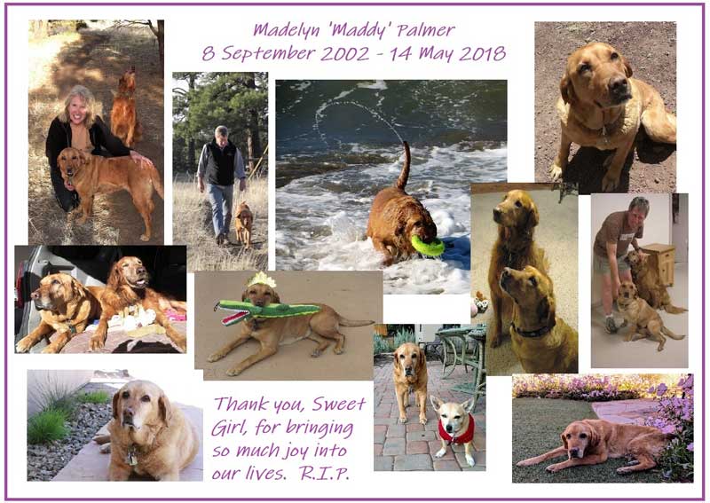 Maddy Memories 2018 800
