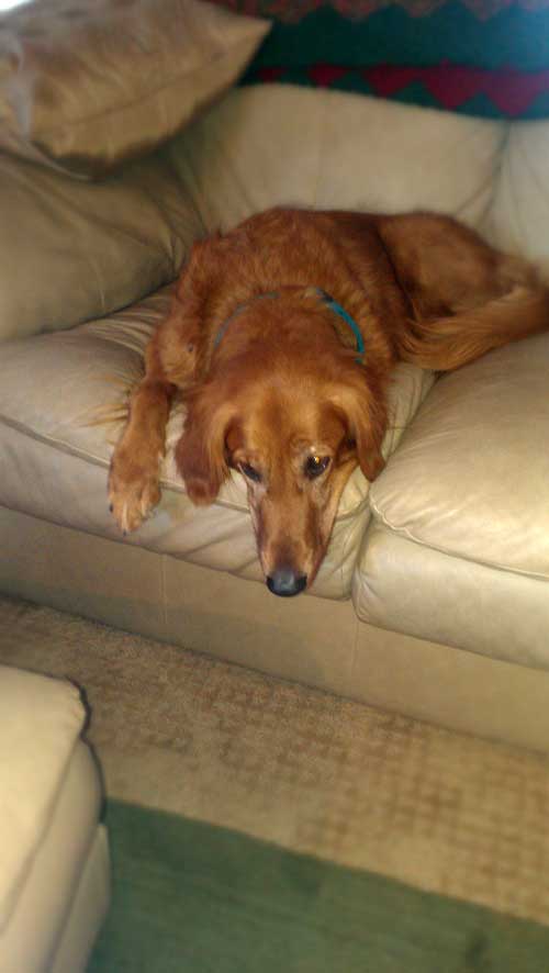 Moxie Schaffer 2012-11-20 09.59.32 resized