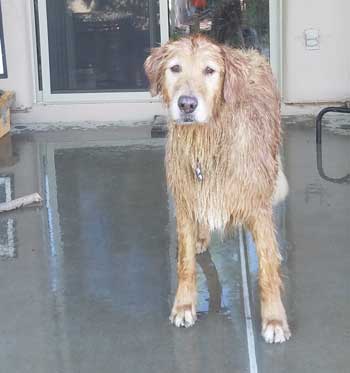 Publius clean pub 5 5 20