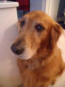 RileyAndersondisneyland2012a279 resized 300