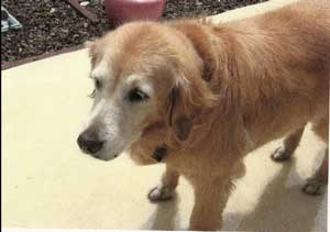 TashaScan0011a resized