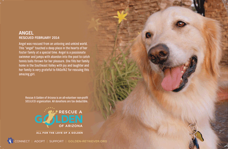 RAGofAZ Note Cards 1a