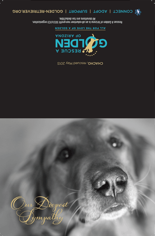 RAGofAZ Note Cards 2a