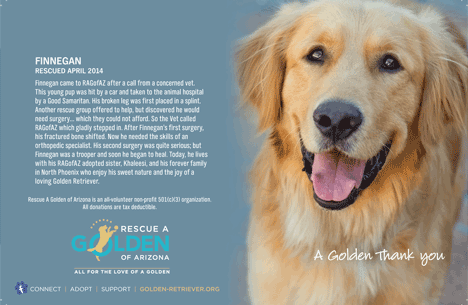 RAGofAZ Note Cards 3a