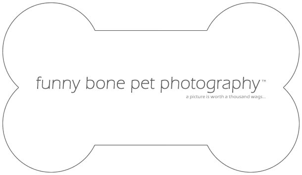 Funny Bone Pet Photography logo for RAGofAZ